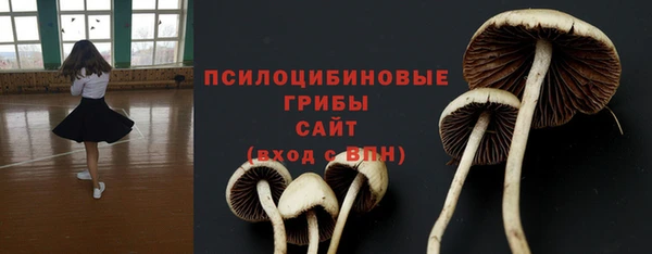 прущий лед Белокуриха