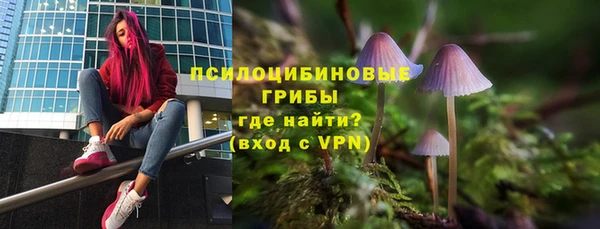 прущий лед Белокуриха