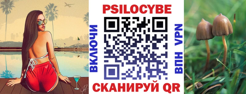 OMG ТОР  Горнозаводск  Галлюциногенные грибы Cubensis 