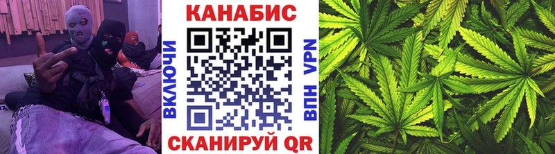 Канабис гибрид  Горнозаводск 